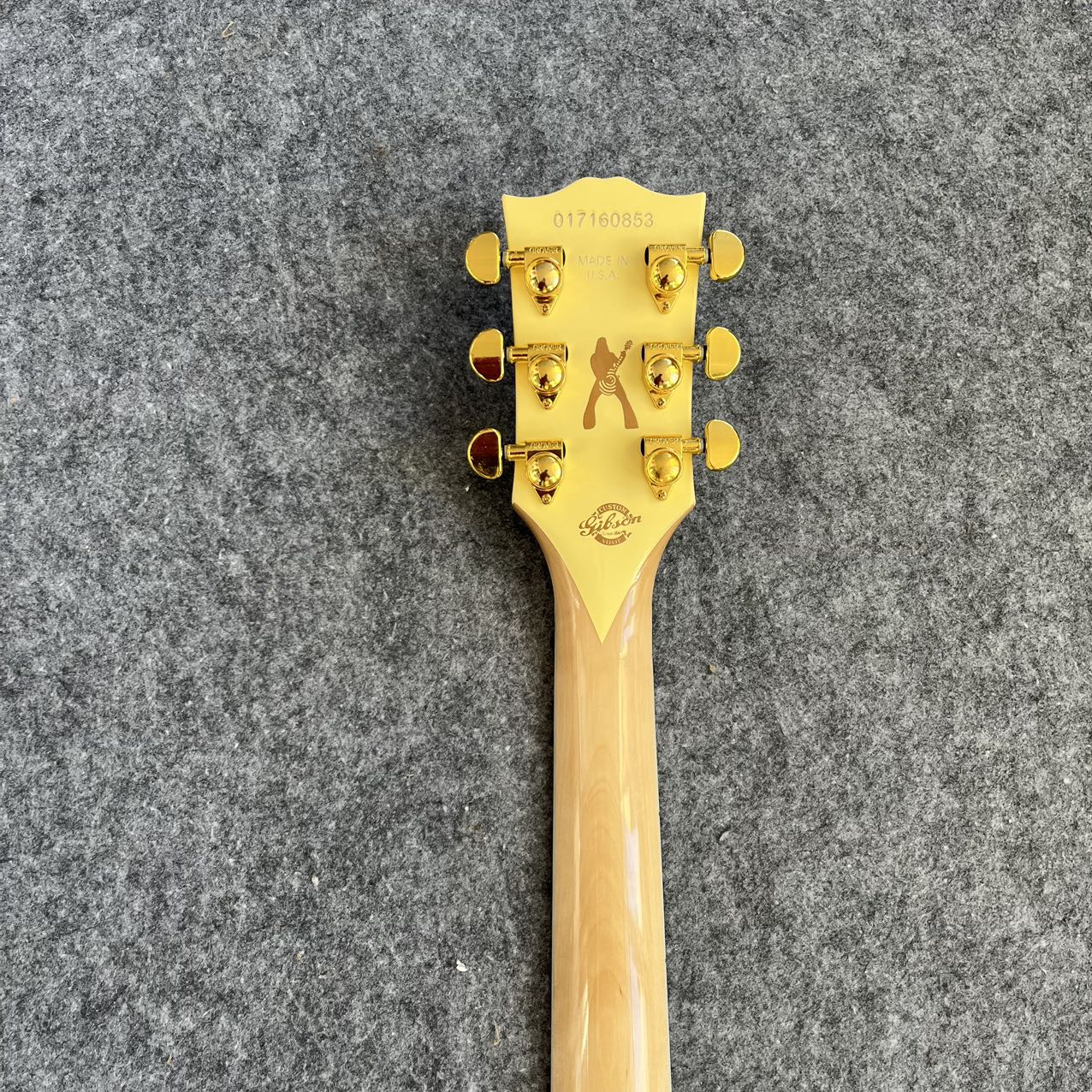 Zakk Wylde Les Paul Style Guitar